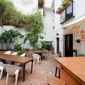 Oasis Backpackers' Auberge de jeunesse