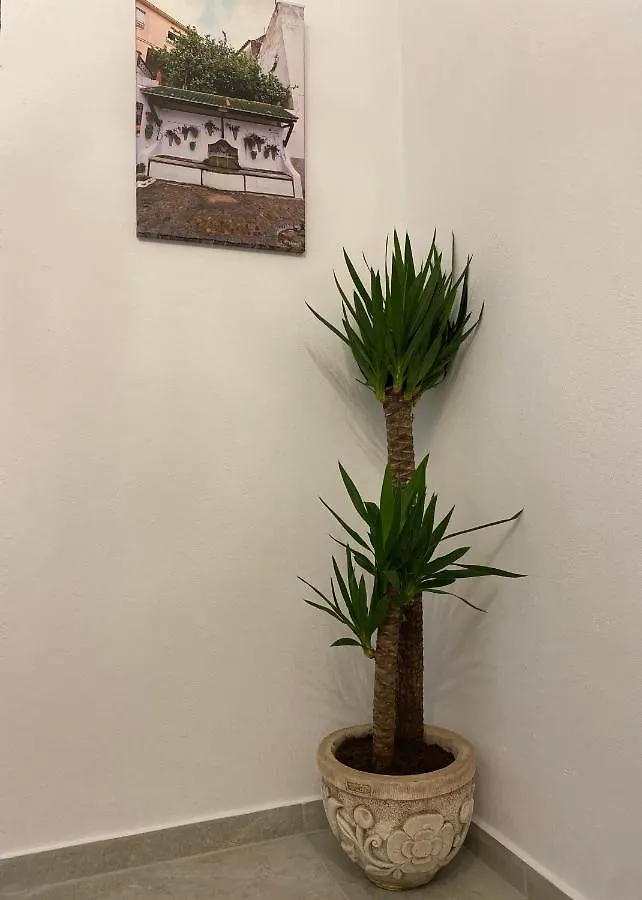 Suites Benalup Centro Guest house Benalup-Casas Viejas